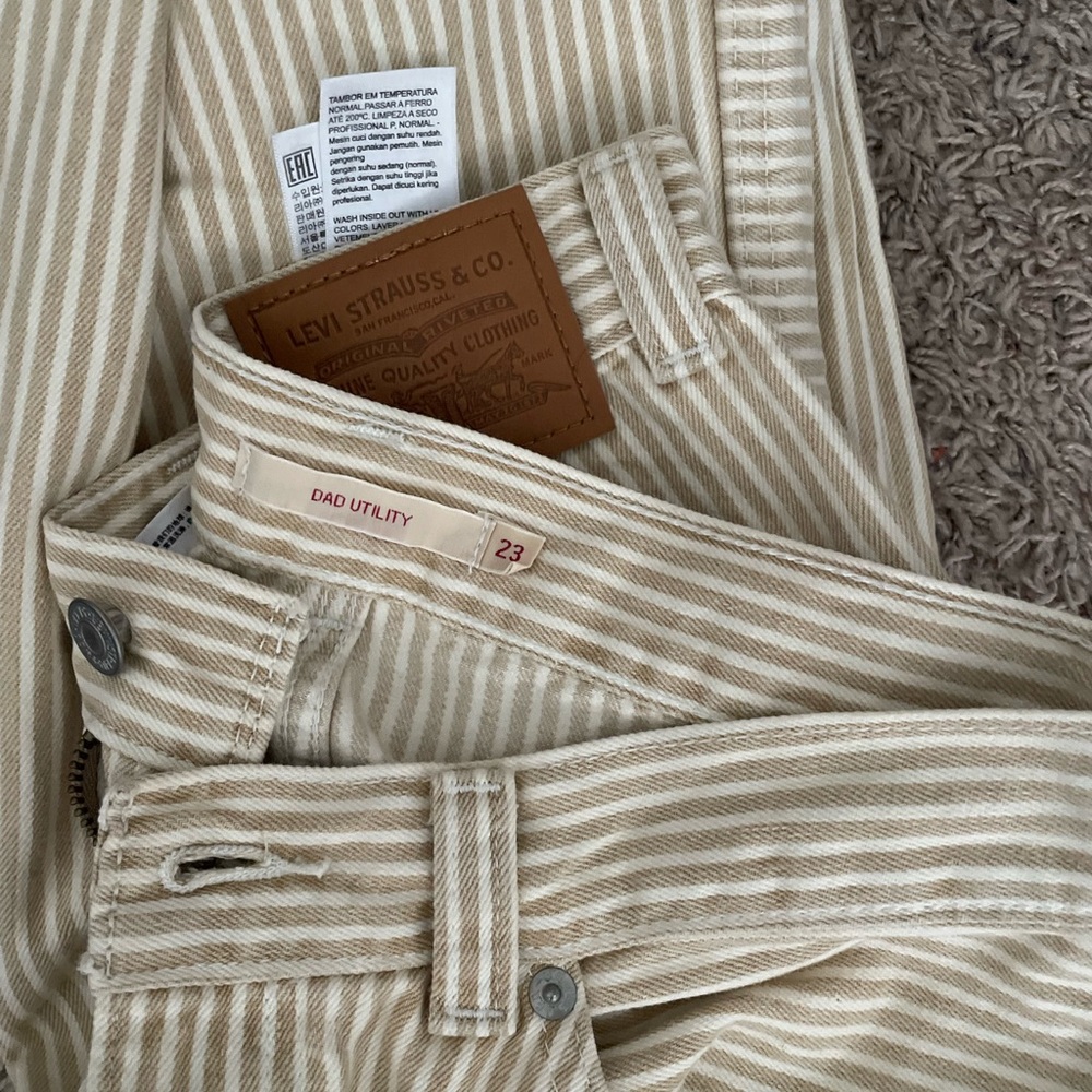 Levi - Picture 7 of 7